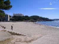 Mallorca Februar 07 (12) 